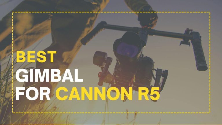 Best Gimbal for Cannon R5
