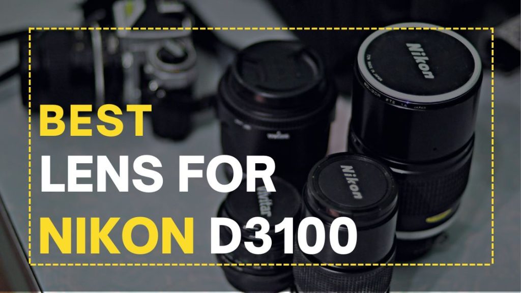 Best Lenses for Nikon d3100 in 2022